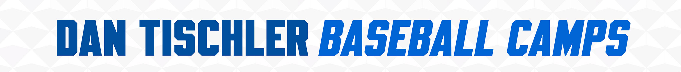 Dan Tischler Baseball Camps